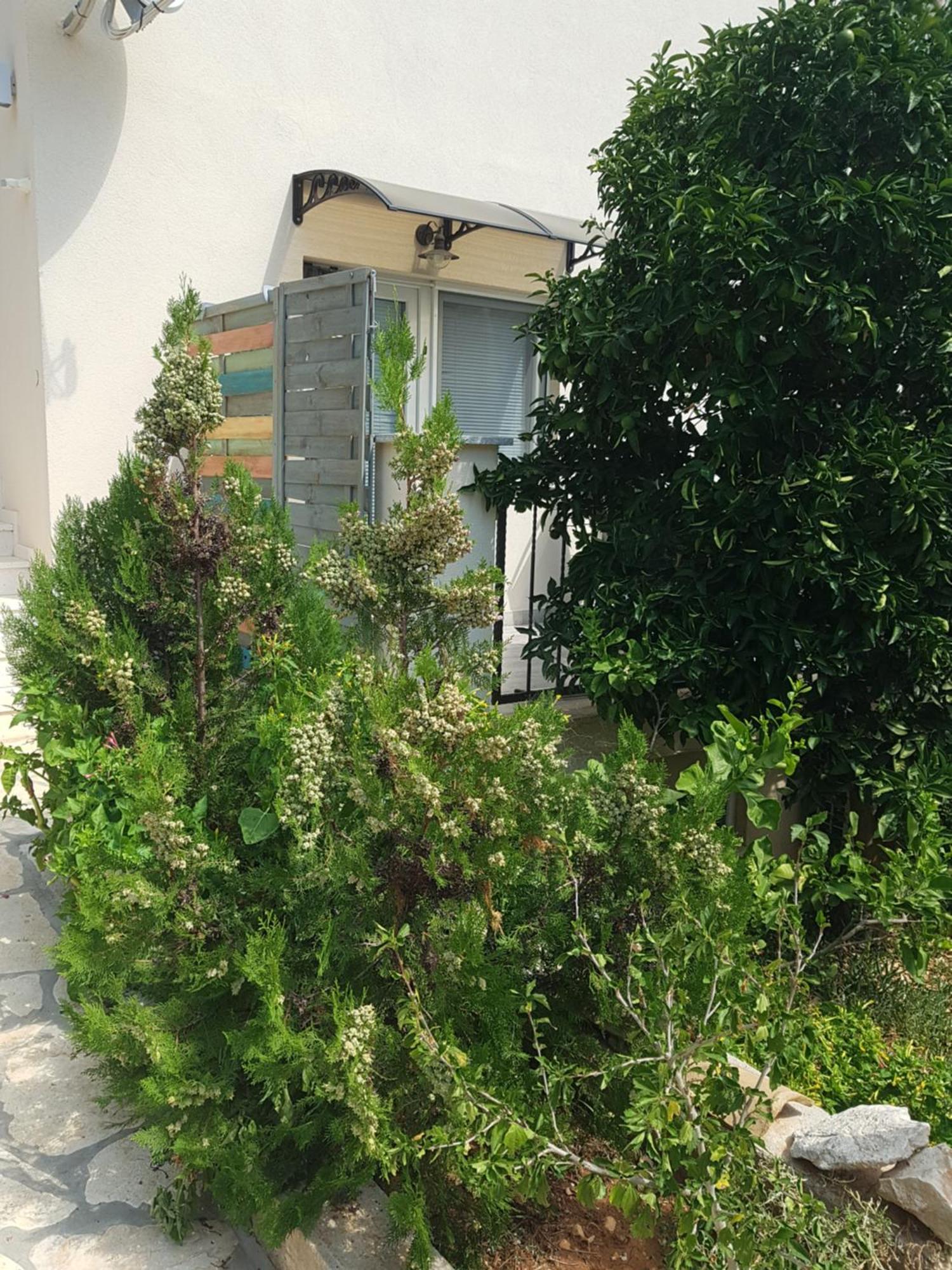 Hamo Apartments & Soba Лумбарда Экстерьер фото